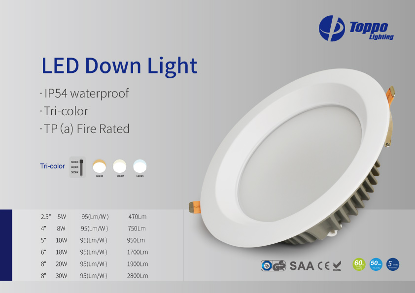TUV SAA CE ROHS Europe market TP(a) Fire Led Down Light